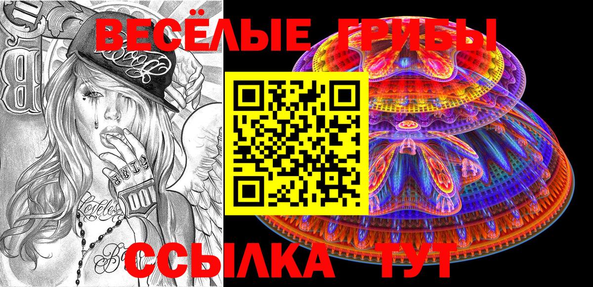 Междуреченск  Галлюциногенные грибы ЛСД  Вход с VPN 